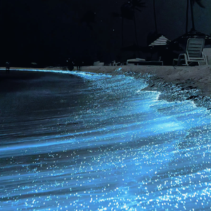 故意不戴胸罩露出奶头的教师微博
