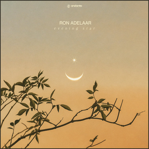 故意不戴胸罩露出奶头的教师微博
