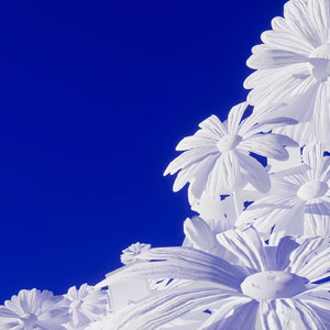 故意不戴胸罩露出奶头的教师微博
